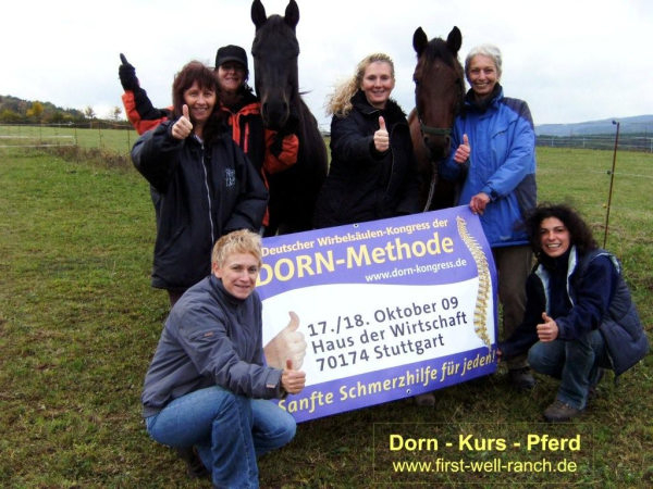 dorn-kurs-pferd